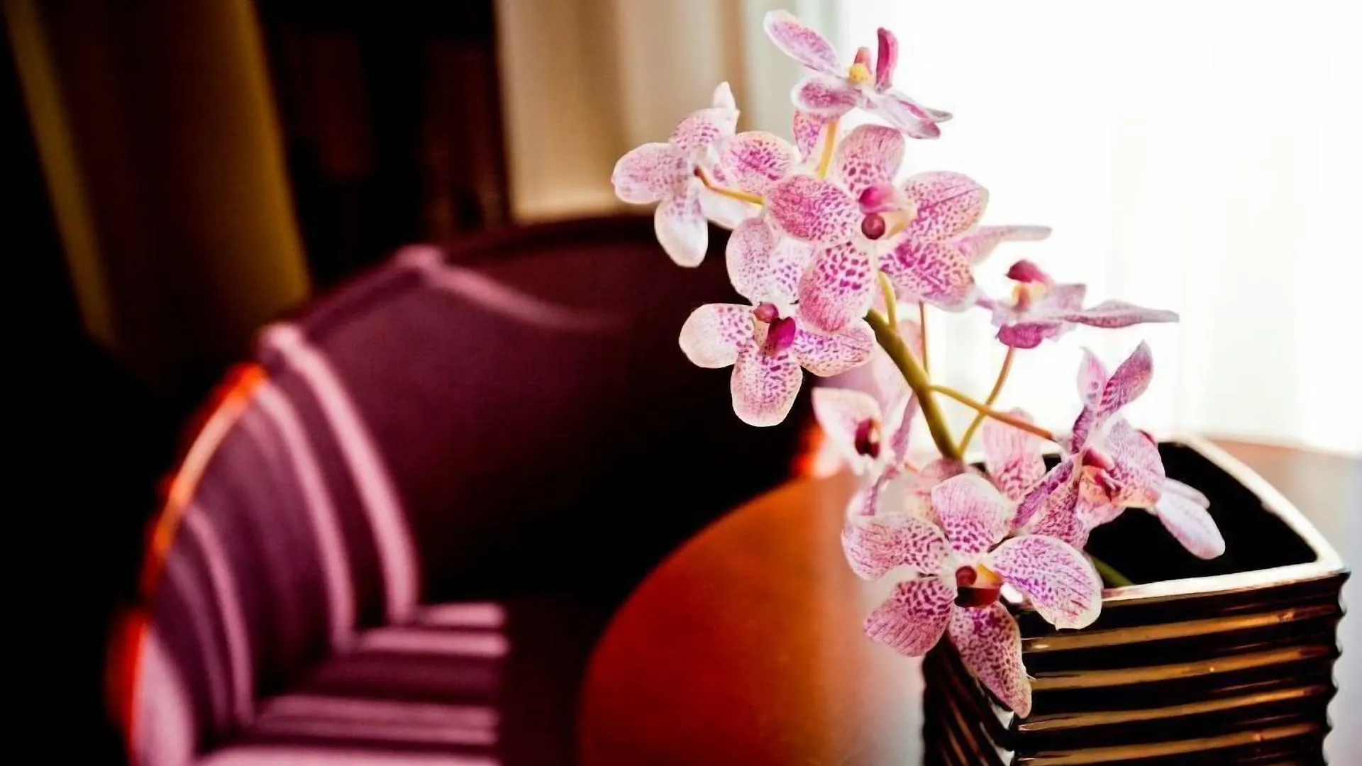 ****  Hotel Kossak Cracovia Polonia